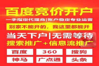 SEM广告投放案例分享：品牌增长秘诀